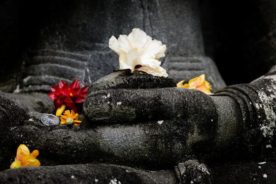 Offerings To Lakshmi I