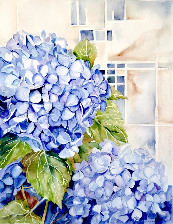 Blue Hydrangea