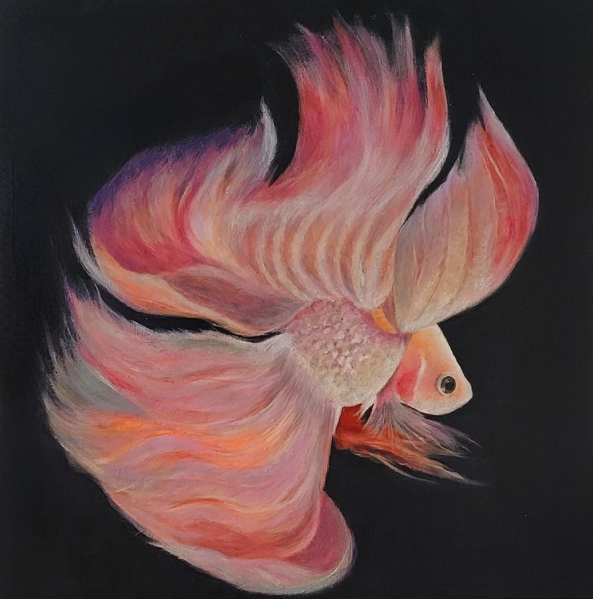 Pink Princess Beta Fish Painting by Nersel Muehlen