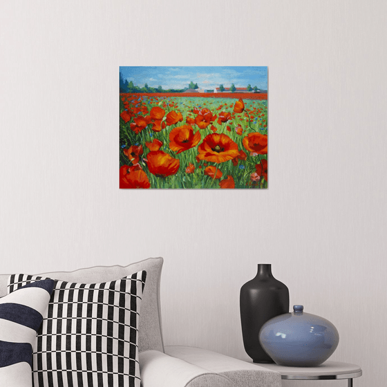 Poppies