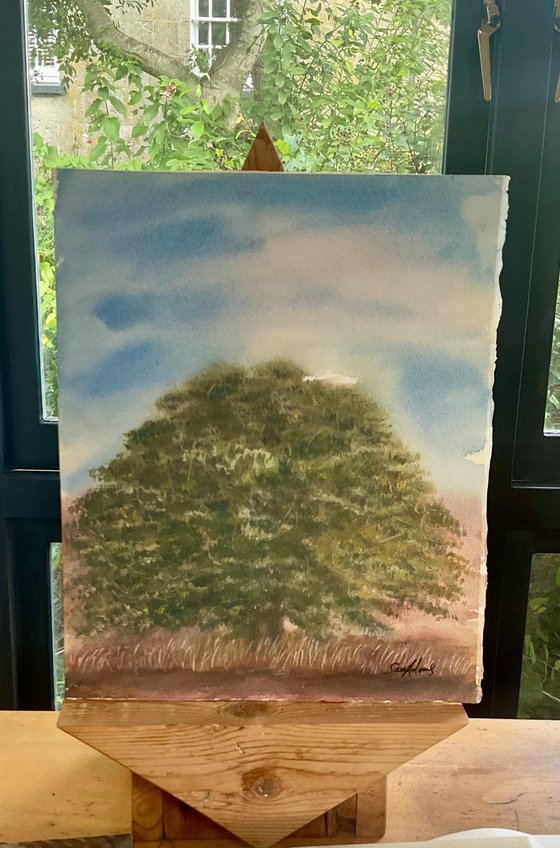 Old oak, Kings stag, Dorset