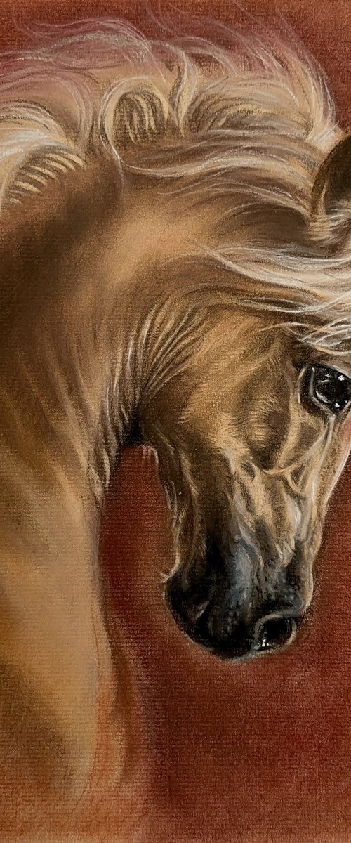 A portrait of a beautiful red horse by Julia Shilo