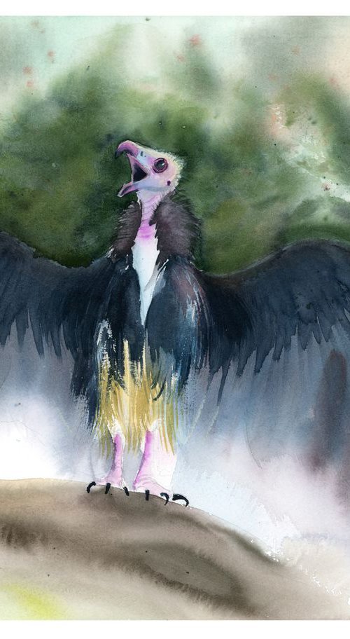 Vulture Bird of prey by Olga Tchefranov (Shefranov)