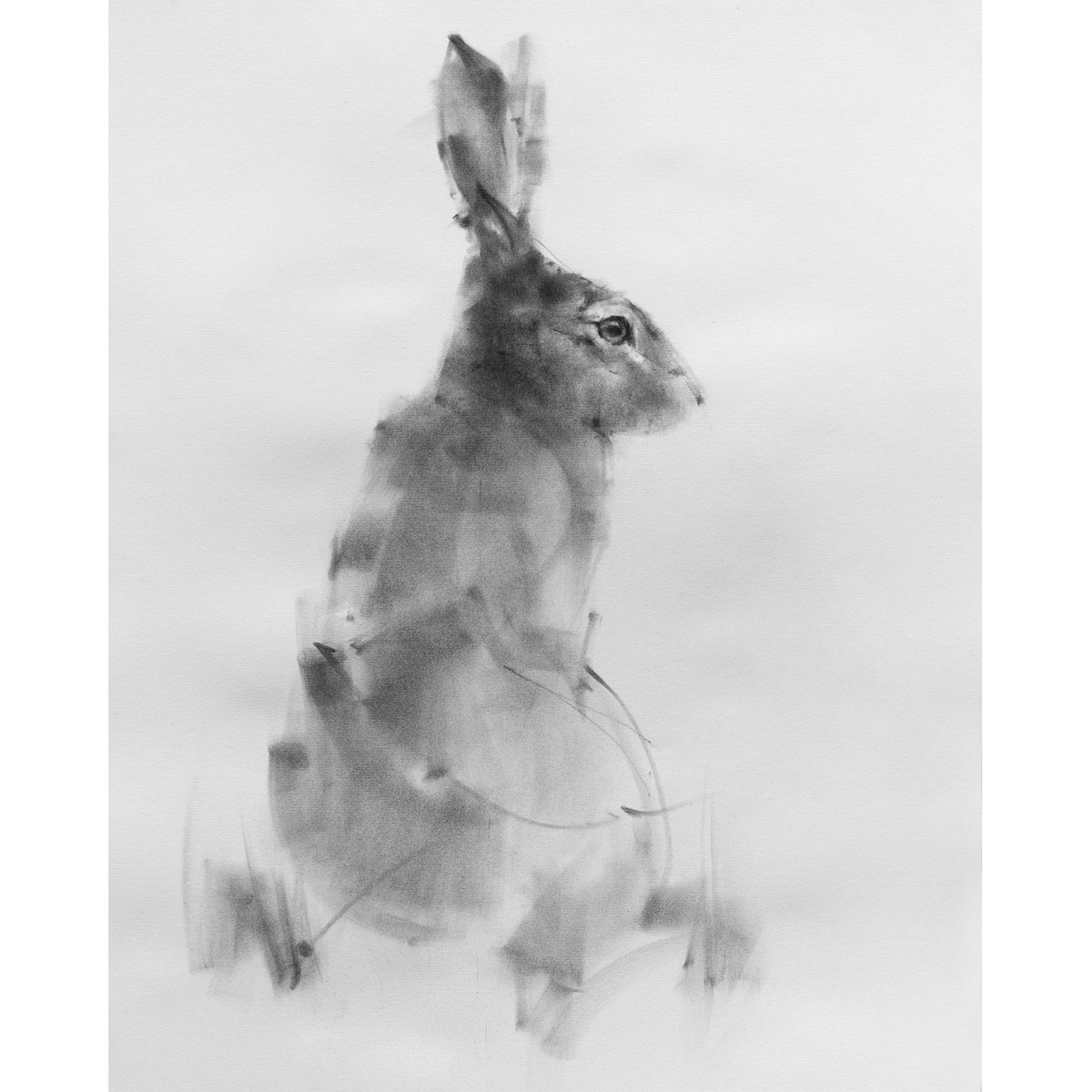 Hare No 1 by Tianyin Wang