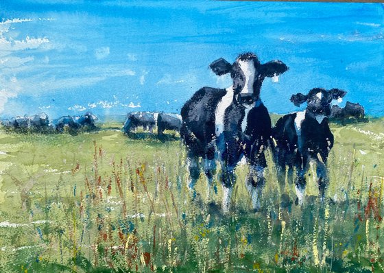 The grass is always greener…