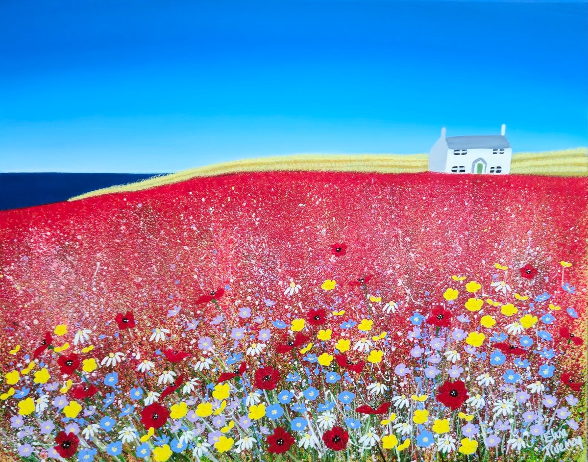 Poppy Meadows by Elisa Trueman
