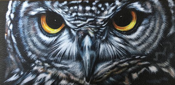 Spotted Eagle Owl Eyes
