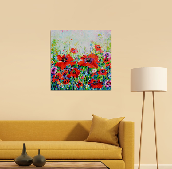 Papaveri Orientali Poppy Oriental Red Poppies