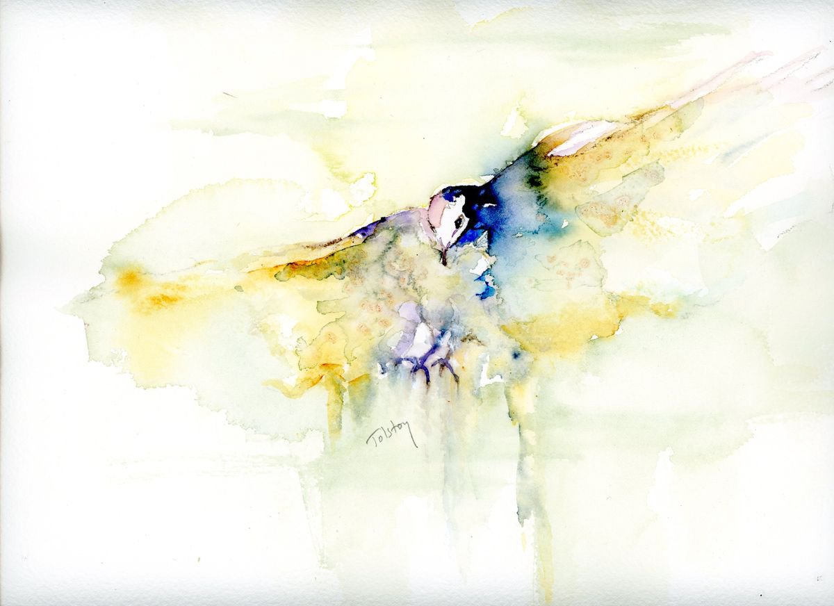 Impressionistic Animal Watercolour By Alex Tolstoy, 12 X 8, Incoming/Swooping, Original Artwork