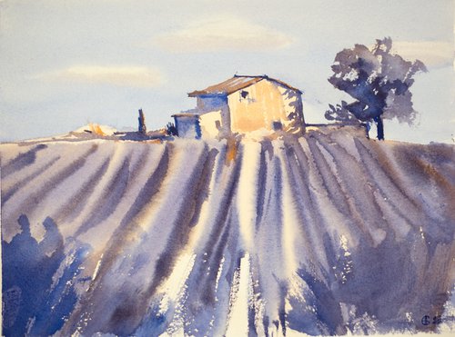 Lavender field in Provence. Medium watercolor pastel drawing bright colors France by Sasha Romm