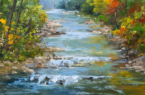 Forest creek.