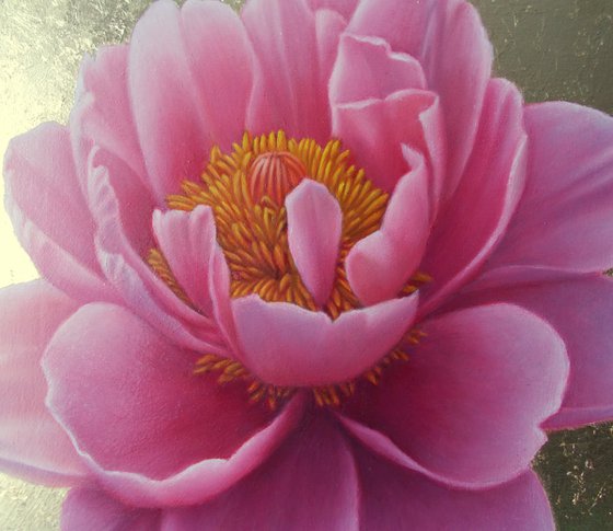 "Magic of Bloom"