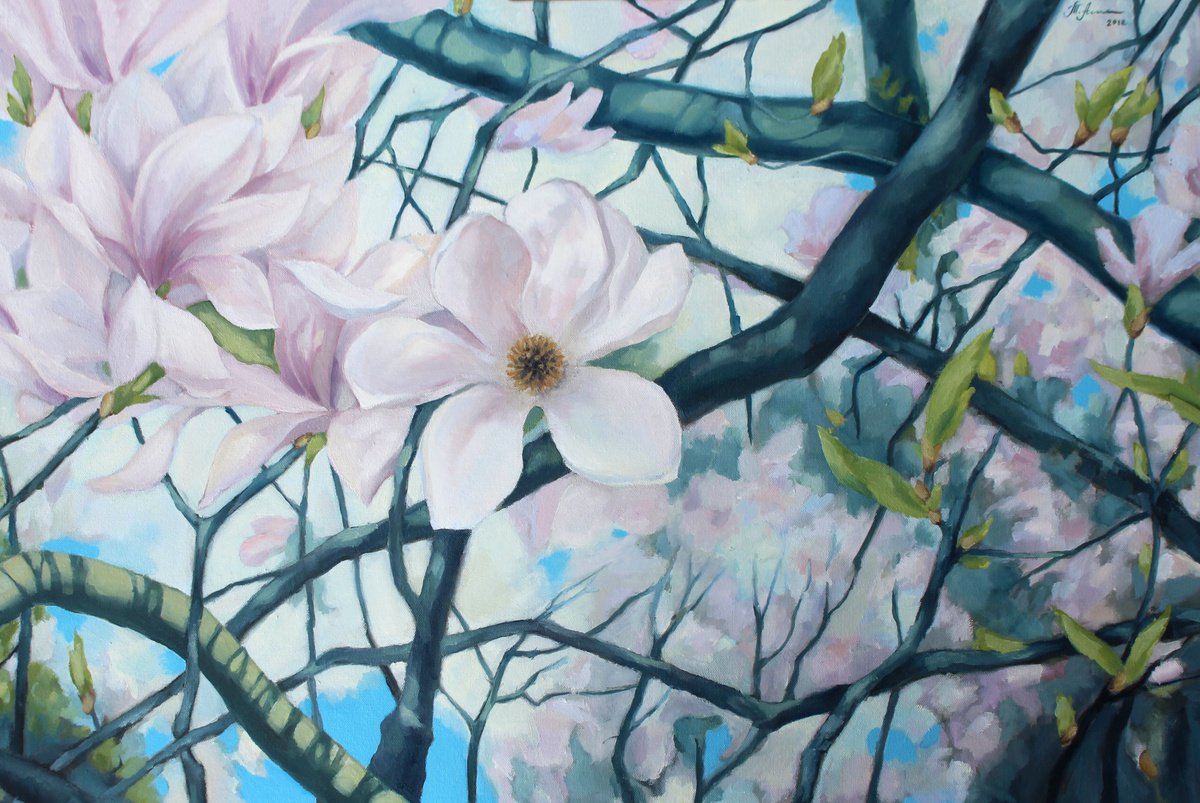 Magnolia Flower by Tatiana Alekseeva