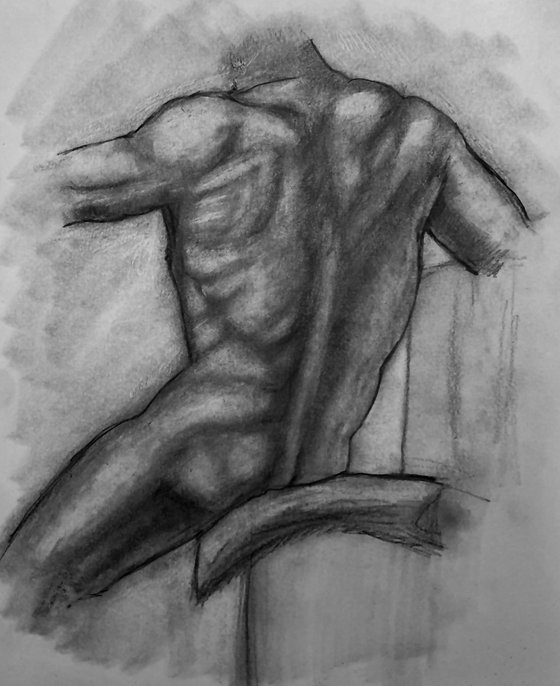 Male back study