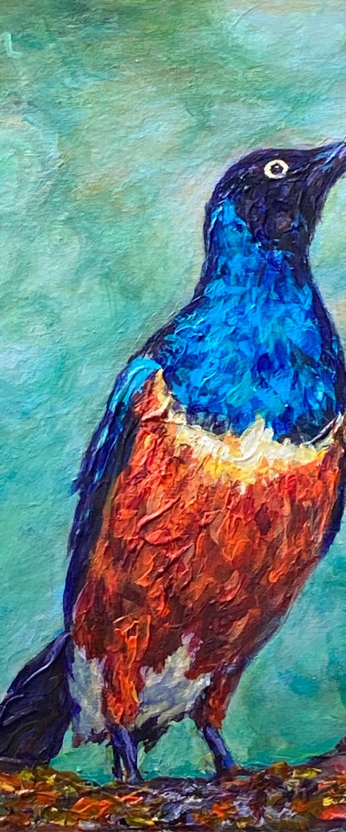 Super Starling bird painting, exotic bird portrait, bird painting, wild bird painting by Surin Jung