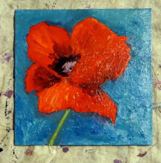 Red Poppy