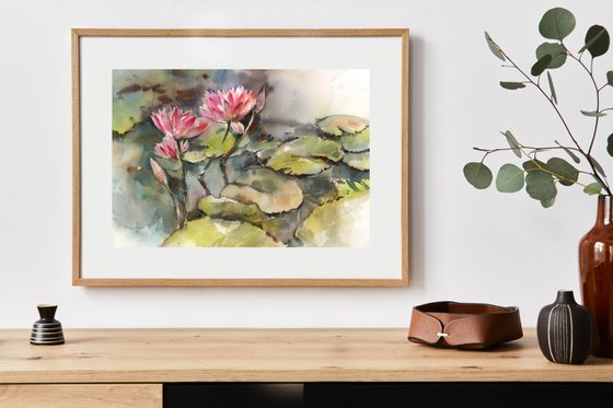 Water Lilies