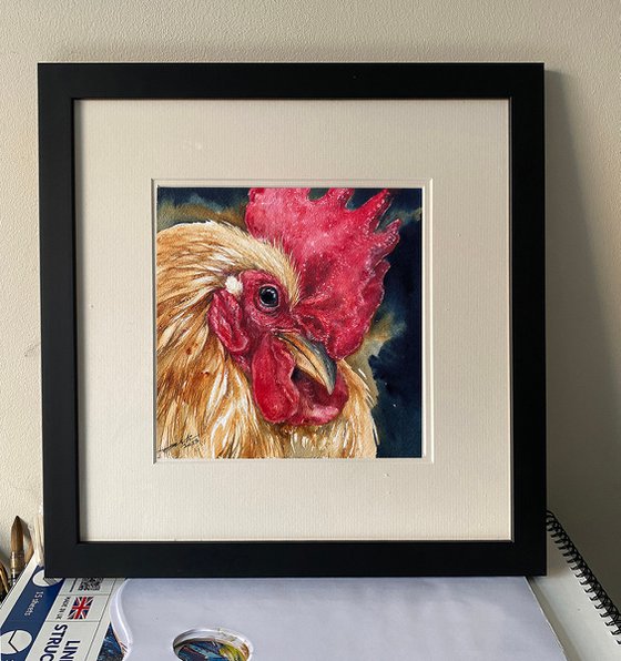 Golden Griffin_Rooster