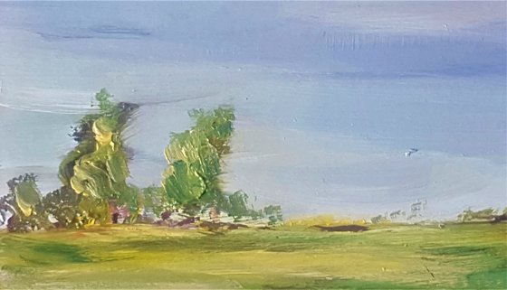 Sunshine meadow - Mini Landscape