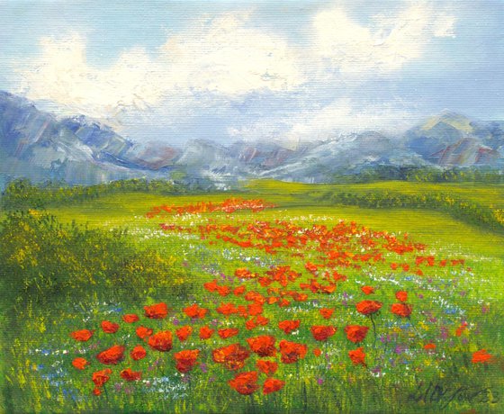 Small poppy field