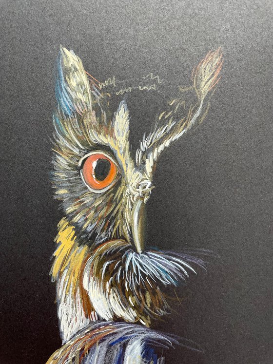 Owl Original Pencil Painting, Mixed Media Artwork, Animal Wall Art, Bird Lover Gift