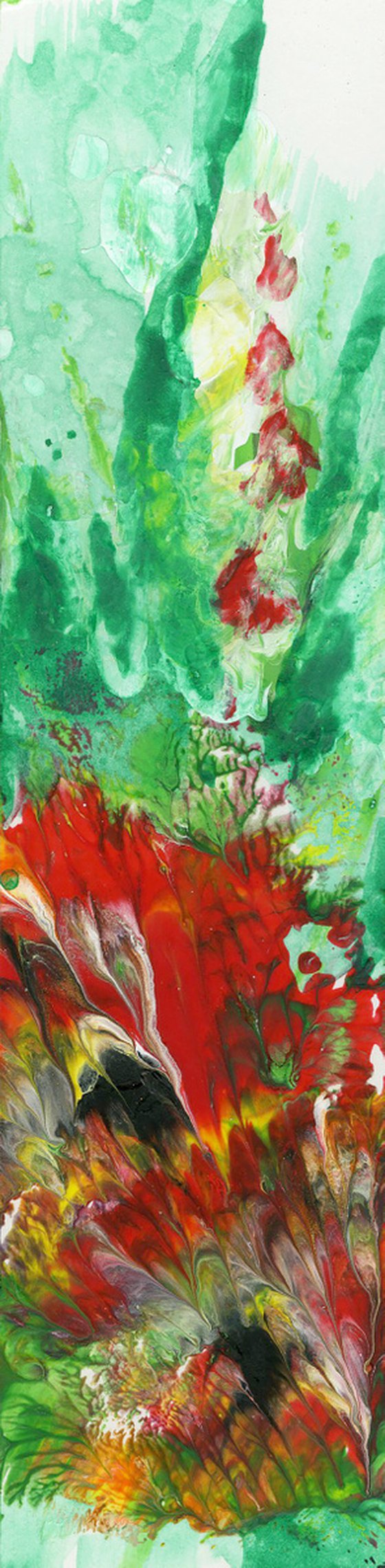 Blooms Of Magic Collection
