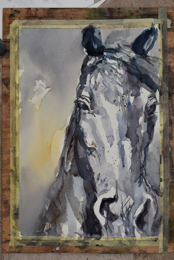 Horse head 4 ( commission for Caroline )