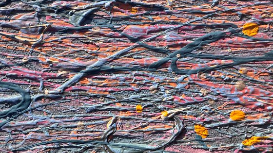 Velvet sunrise - diptych, framed