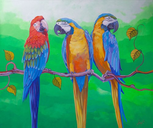 Parrots by Andrii Roshkaniuk