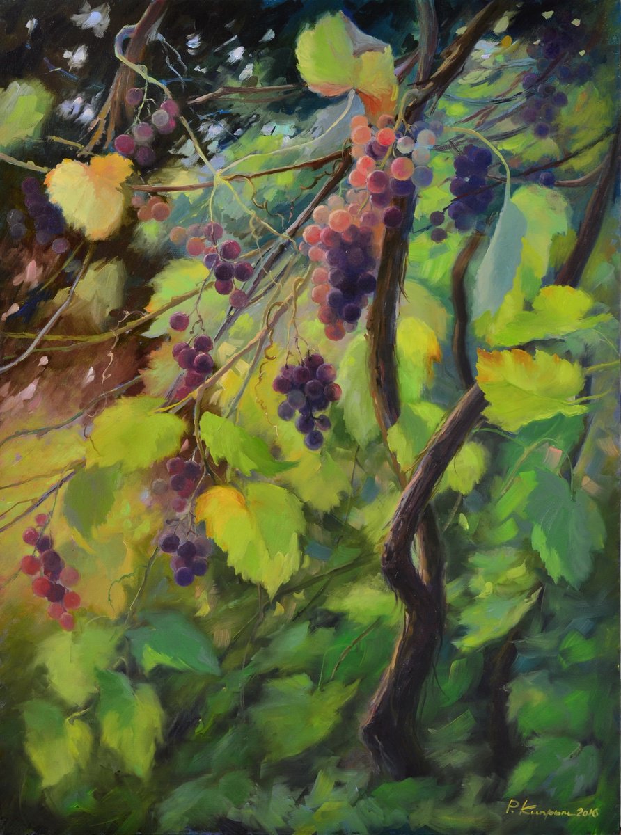 Grape vine by Ruslan Kiprych