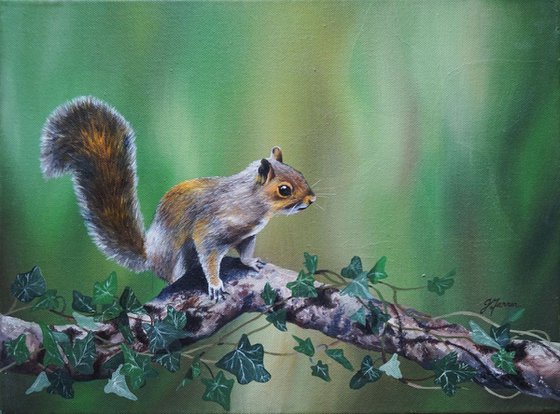 Grey Squirrel on Branch 16x12