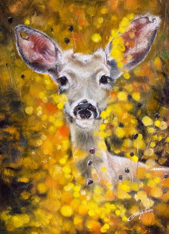 "Deer in the meadow''Original, oil painting on canvas