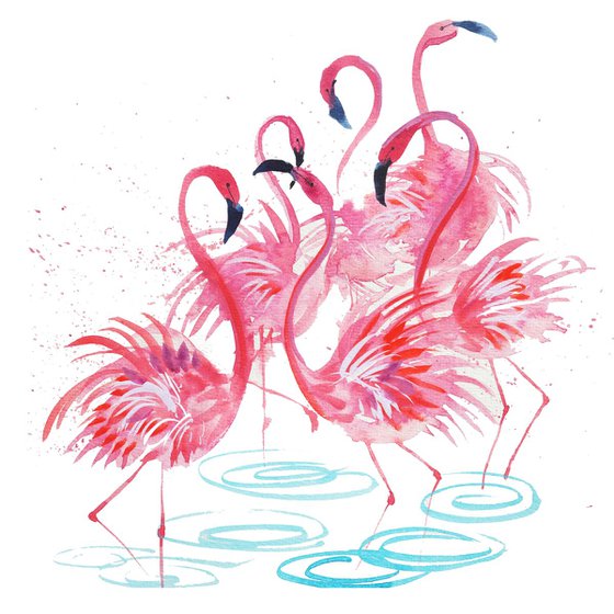 Flamingos