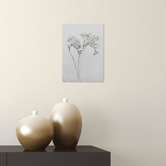 Freesias #5. Original pencil drawing.