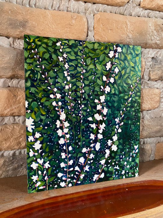 Spring flowers