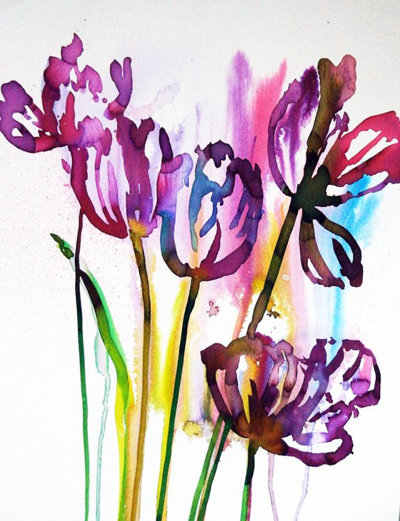 Tulips in watercolour