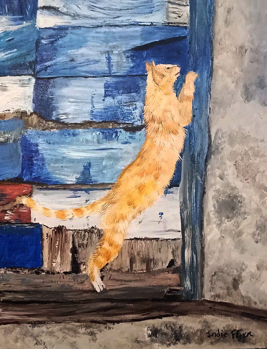 cat stretch Mediterranean by Indie Flynn-Mylchreest
