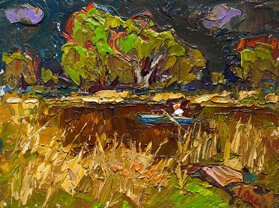 Going fishing after the rain