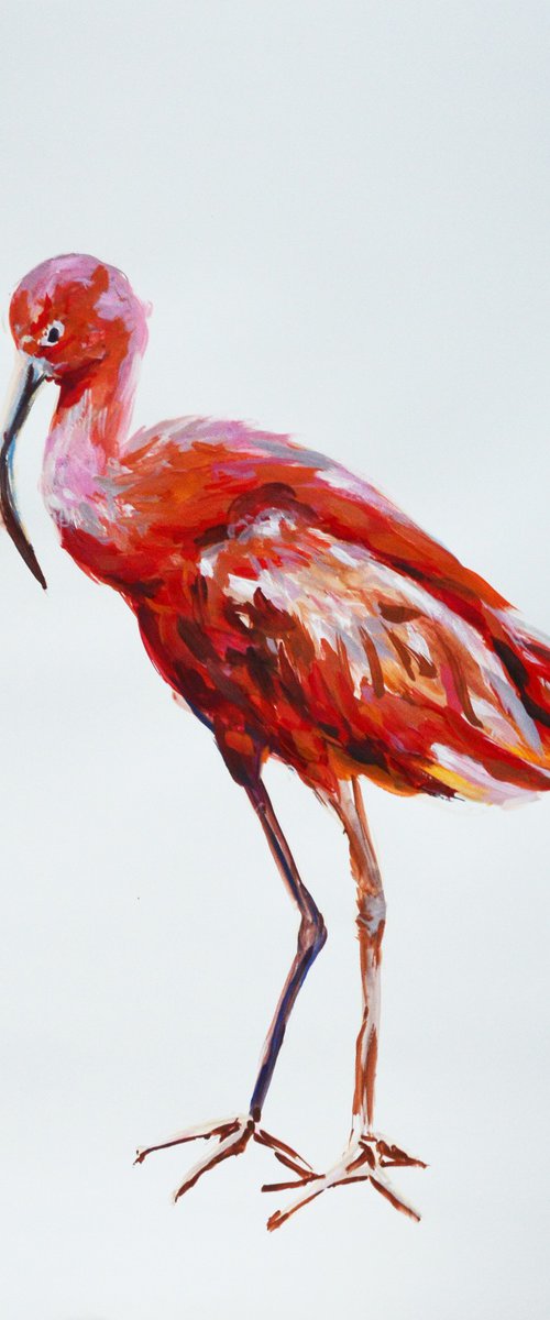 Red ibis - bird painting by Anna Brazhnikova
