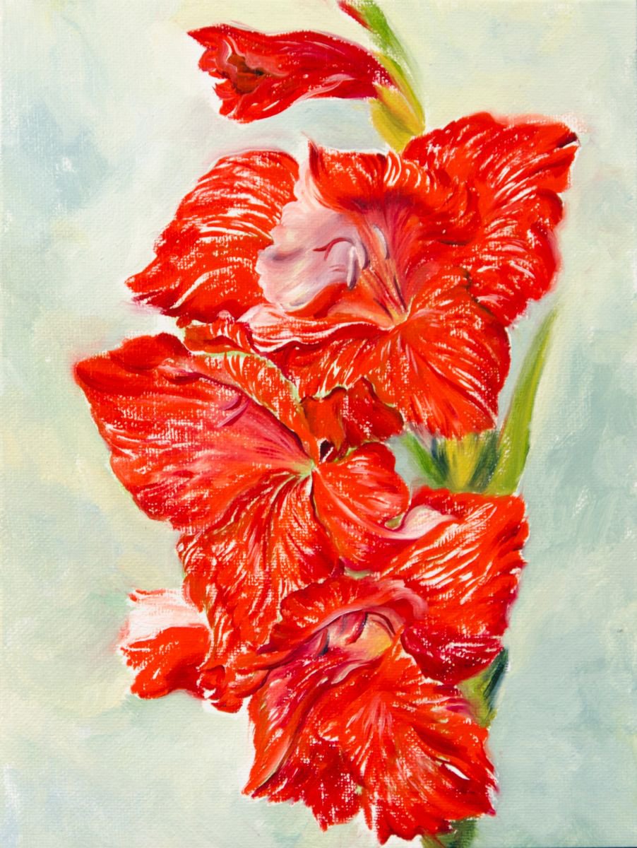 The Red Gladiolus by Daria Galinski