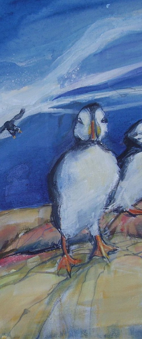 Puffins at Bempton Cliffs, Yorkshire by Jean  Luce