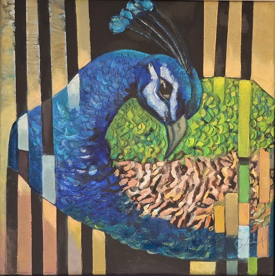 Peacock