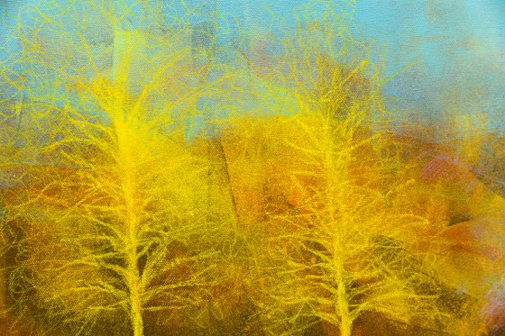 The yellow trees