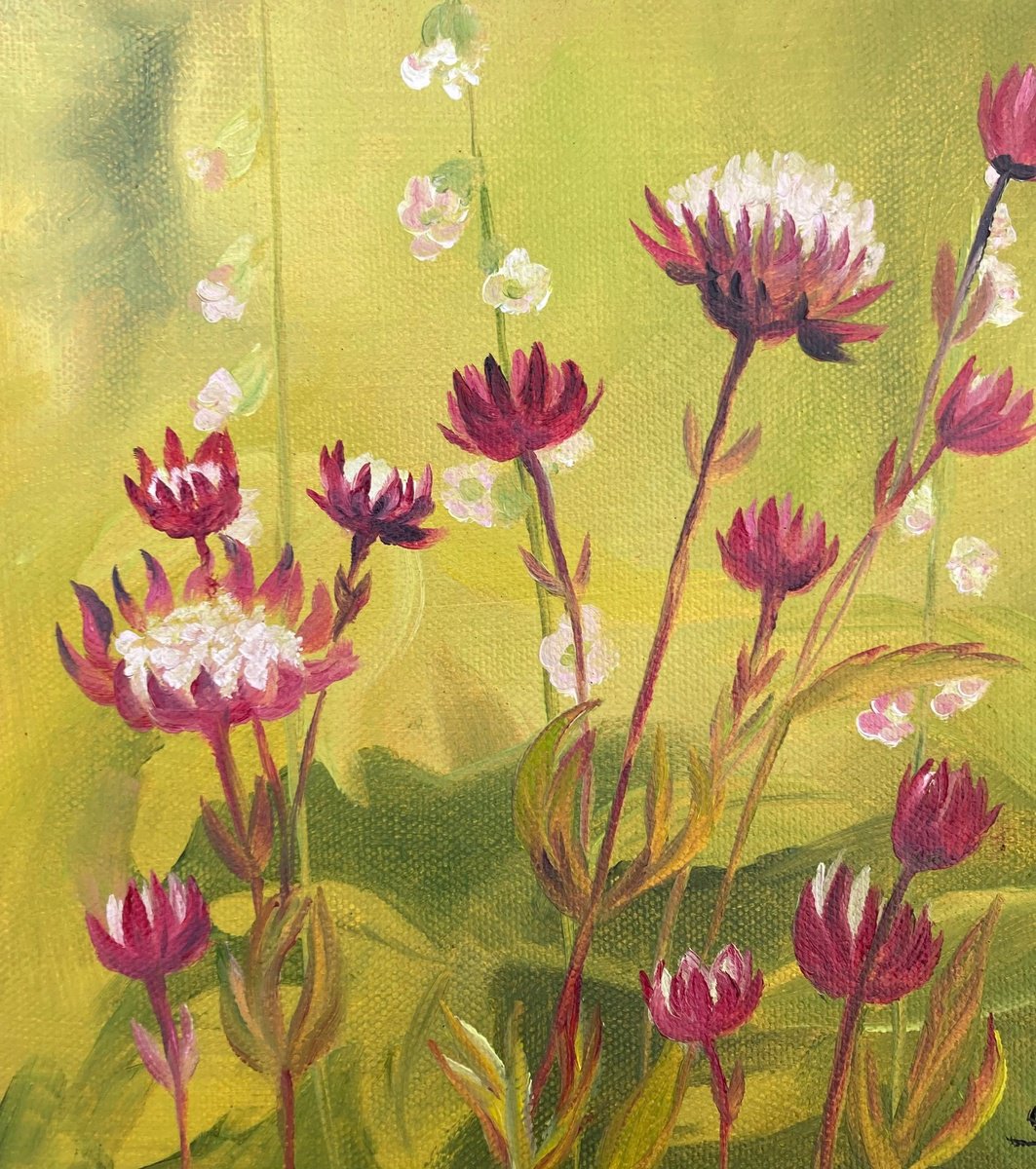 Impressionistic Botanical Oil Painting By Silvie Wright, 8 X 8", Astrantias, Original Artwork