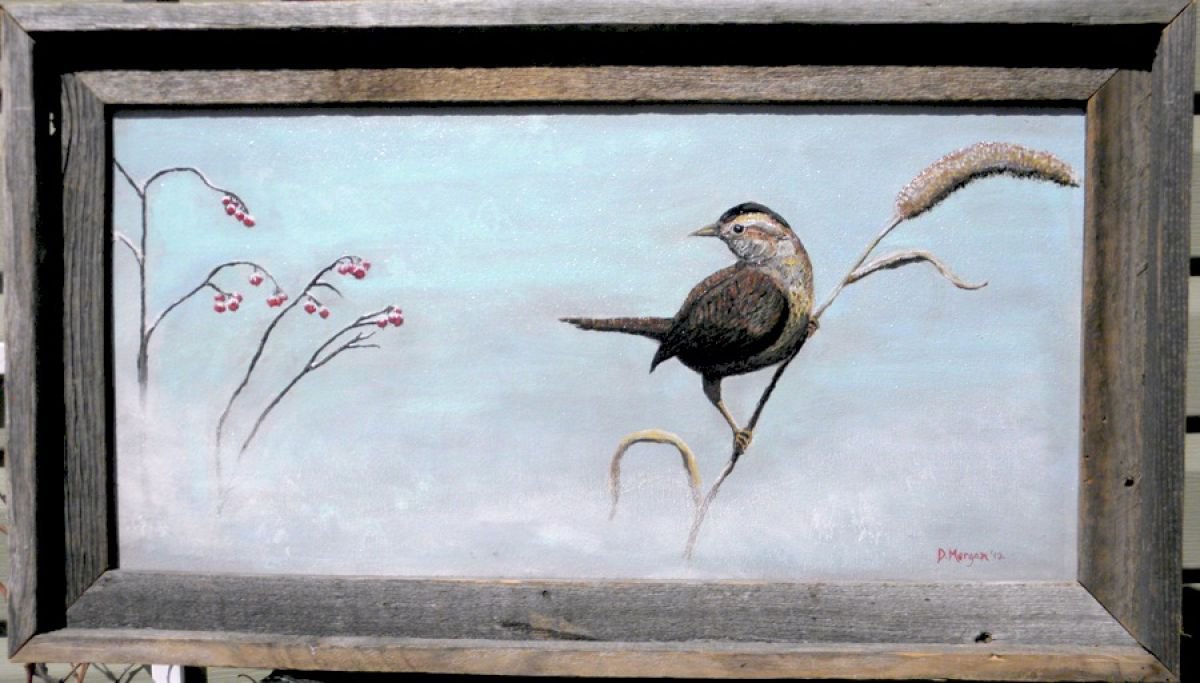 Winter Wren by Donna Daniels