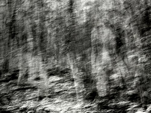 VISIONS by Philippe berthier
