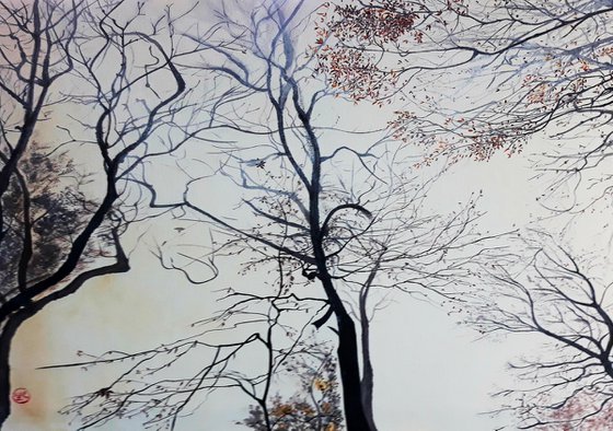 Les arbres s’étendent