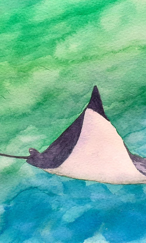 Manta Ray by Lisa Mann