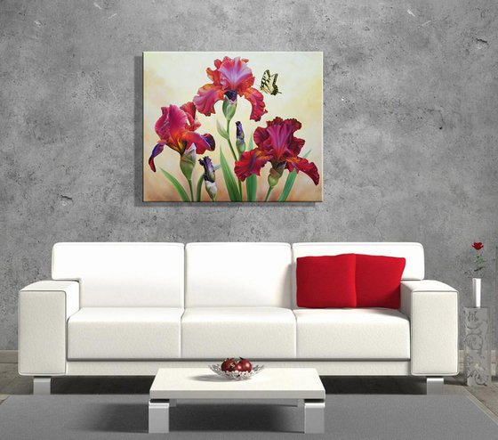 "Bright colors of summer", red irises with butterfly