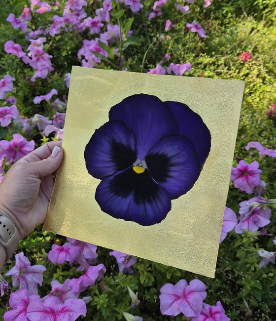 Pansy #20